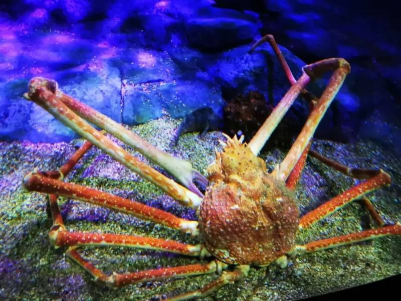 最後悔的一次旅遊經曆:新加坡