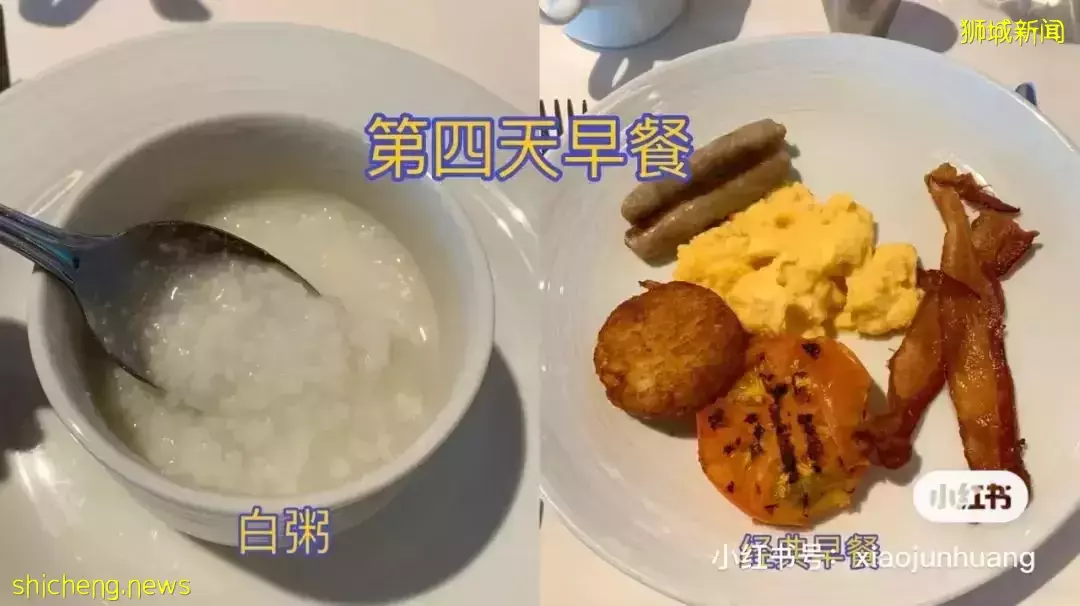 羡慕!一家四口5天4夜坐豪华邮轮免费,攀岩、冲浪、蹦极、跳伞,数不尽的美食和表演