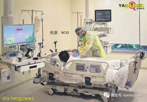 抗疫策略三大錯,新加坡累計百萬病例如何做到不崩潰