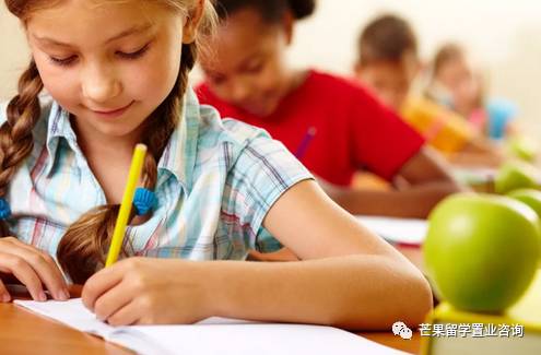 想要留學新加坡？這6大考試必須要知道！及中小學奧數比賽報名考試時間彙總