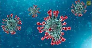 新加坡本地患者體內驚現新冠變種病毒，傳播力和毒性是否會變強