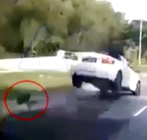 嚇壞人！ 行駛中轎車突“彈起”