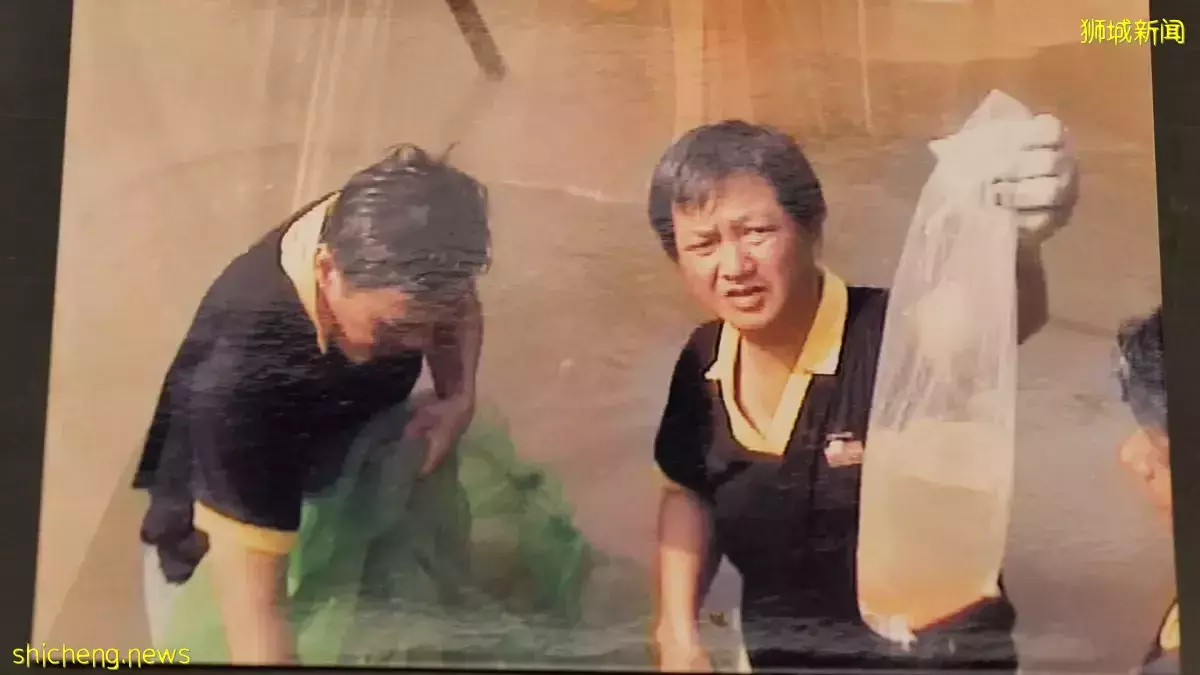 租约到期无处搬无奈结业 渔场急降价为鱼找新主 