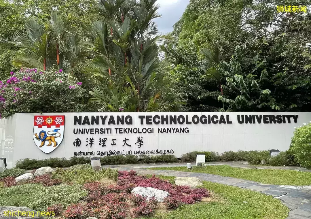 來新加坡留學，6大誤區，千萬要避開！看看你中招幾個