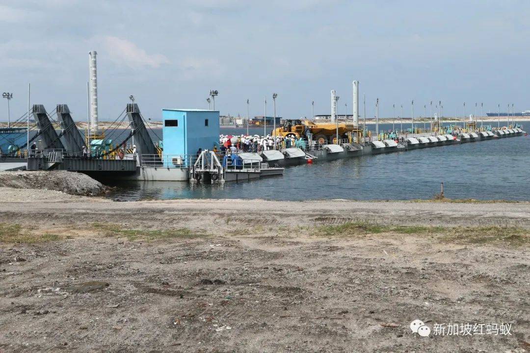 這些小小的蟲子,能改變新加坡的未來