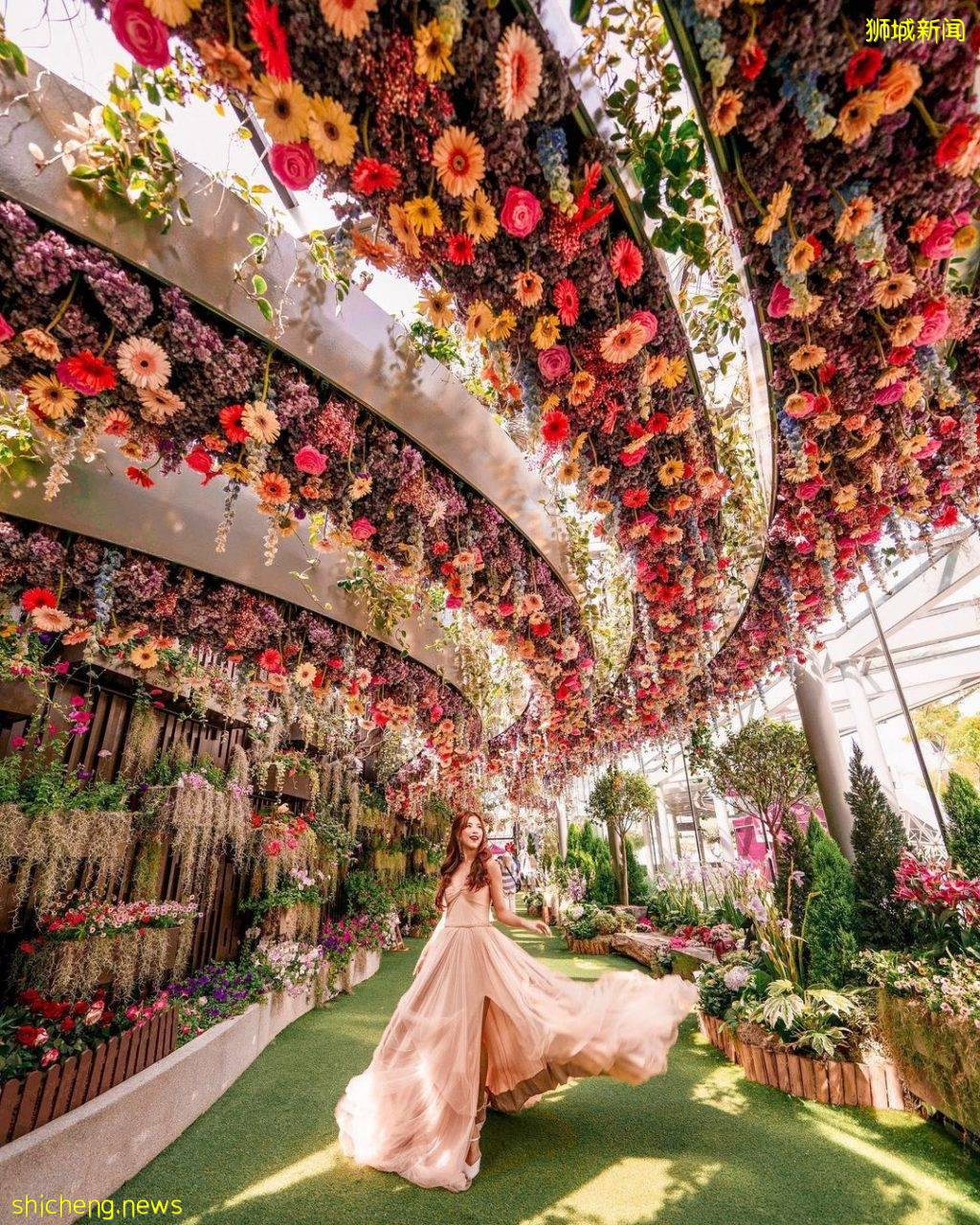 化身花仙子🧚‍♀新加坡9大花海打卡地🌷 天天鮮花盛放、美如仙境，出片率百分百