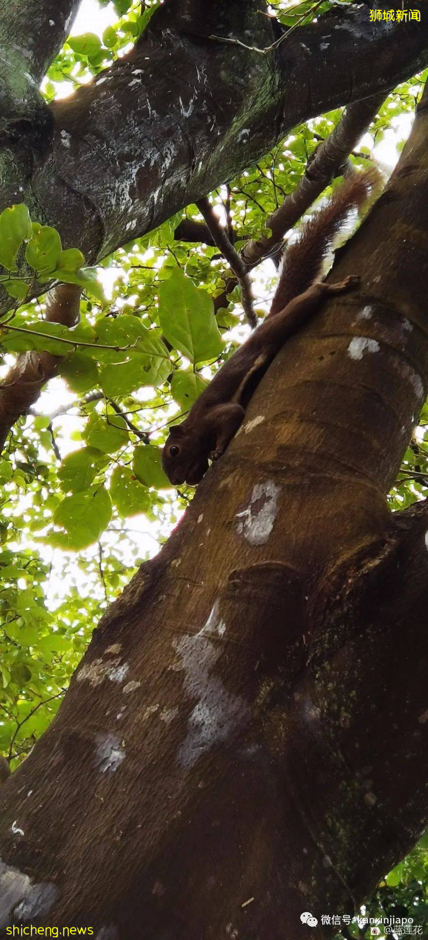 新加坡小众遛娃好去处,吃喝玩乐一应俱有