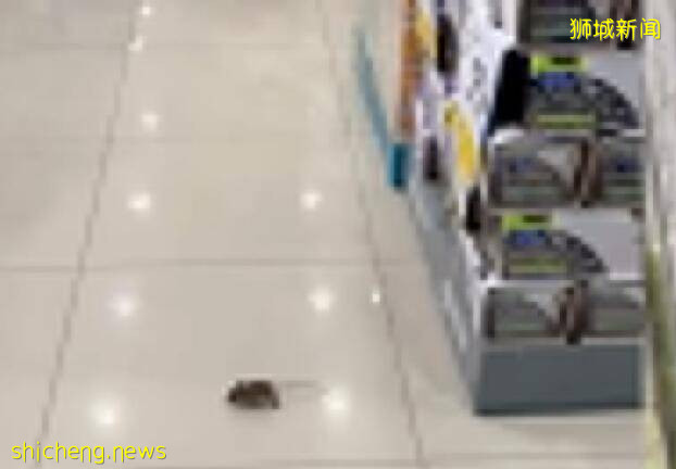 米奇“光顾”新加坡药店,网友调侃:在找自助检测仪吗