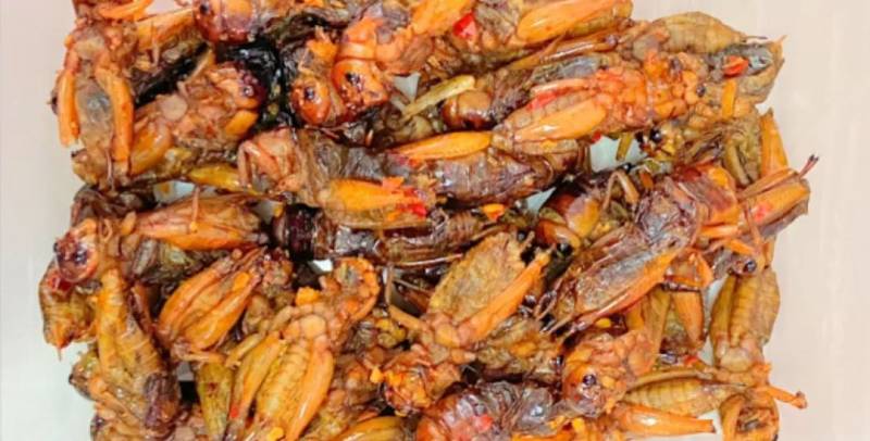 探店!新加坡这些超市可以买到世界7个地方的零食