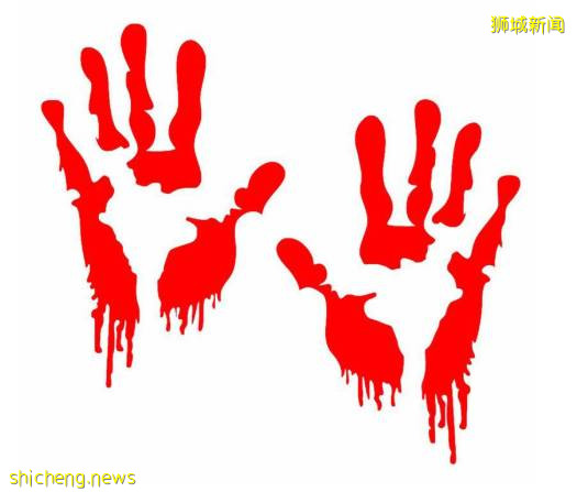 更多細節曝光！勿洛雙屍案：女傭謀殺2雇主，才判20年