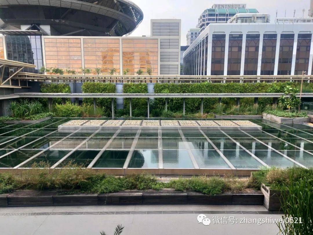 新加坡遊記系列 走,去逛博物館呀