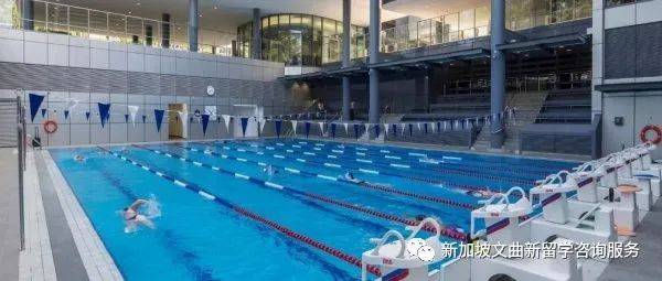 新加坡國際學校 史丹福國際學校(SAIS)