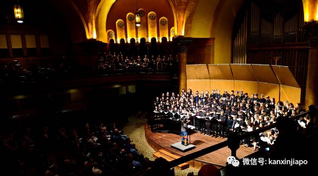 从莱佛士初院到国大,一个中国女孩留学新加坡、7年转公民的逆袭之路
