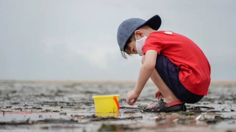 新加坡趕海全攻略!寄居蟹、花蟹、龍蝦、蛤蜊、海星、海參...我挖到寶藏啦