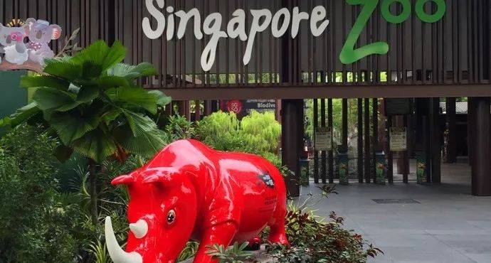 佩服！开启学霸模式逛新加坡动物园，既玩又学，赶紧走起