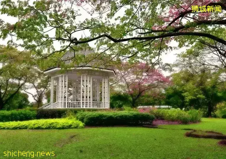 在新加坡，滿足這些標准才能稱得上是豪宅