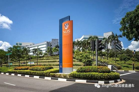 罪惡萌芽,新加坡的大學到底怎麽了