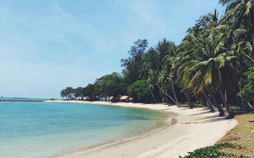 新加坡境內絕美海島探秘來了