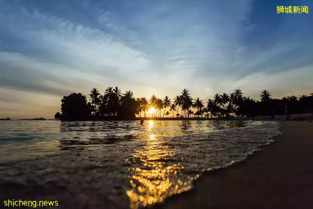 超美水边安静Cafe大盘点!美食美景我全都要