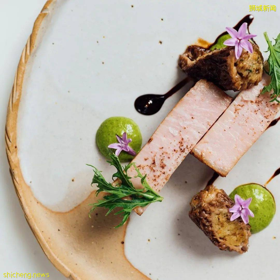 獅城高校美食 可以吃一路的環Kaplan美食地圖，各國料理不重樣