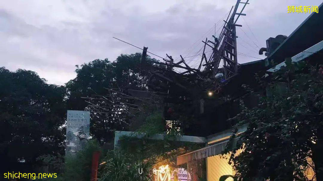 國際學校怎麽選？中國和新加坡的差別不止一點點