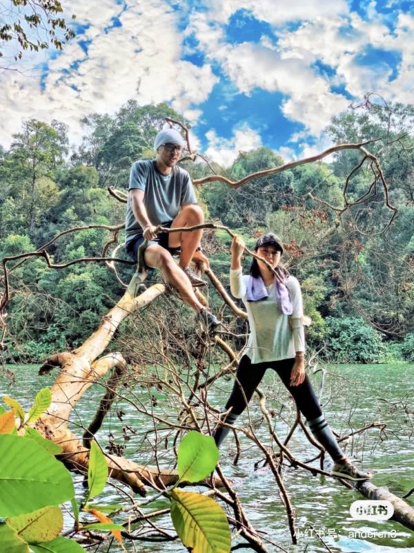 Chestnut Nature Park城市裏的世外桃園🌸 天空之境獨木橋、越野騎行、徒步放松好去處
