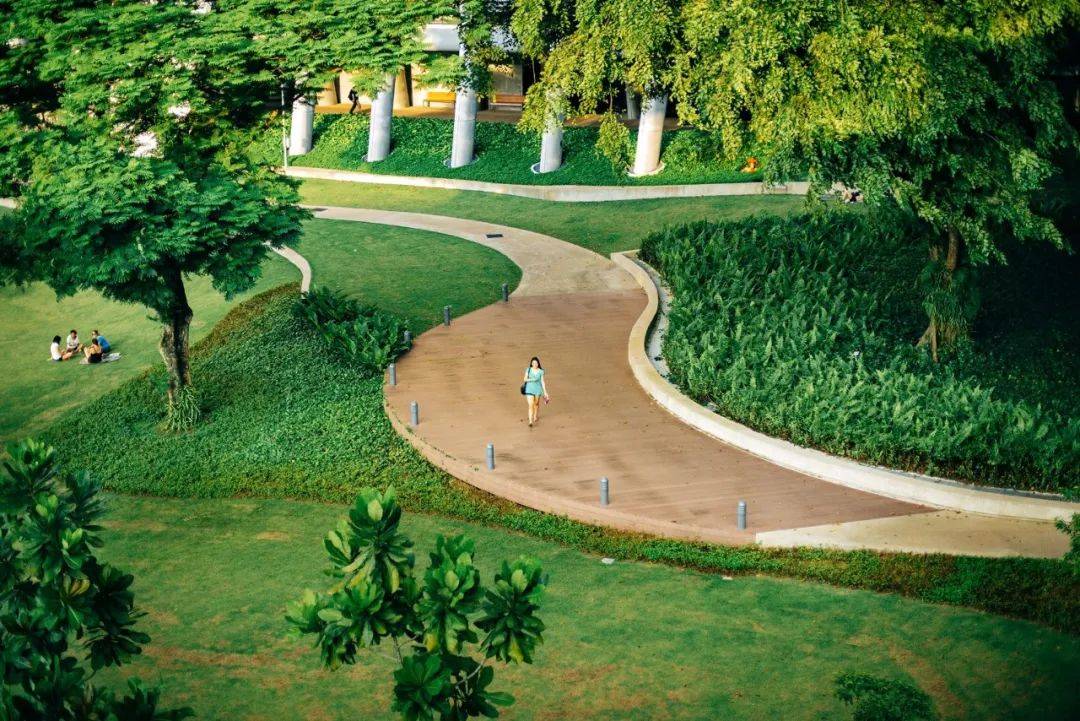 人间四月，来感受新加坡国立大学的春天