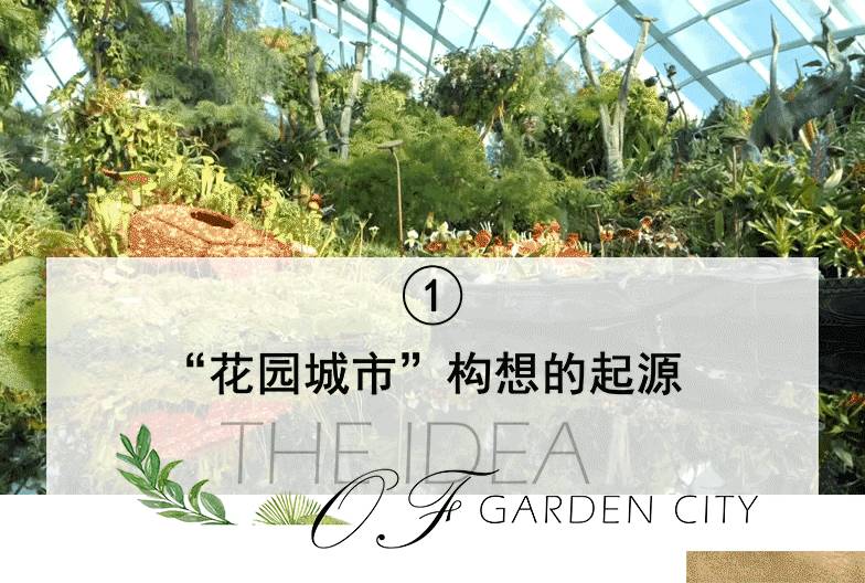 將自然引入城市:新加坡“花園城市”背後的故事