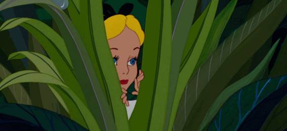 種水稻，摘蘑菇，新鮮蘆荟飲品！藏在新加坡的7大蔬菜農場我找到啦