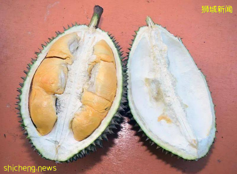 今年最后一波榴梿季!邻国大丰收,下个月猫山王或降至12元/KG