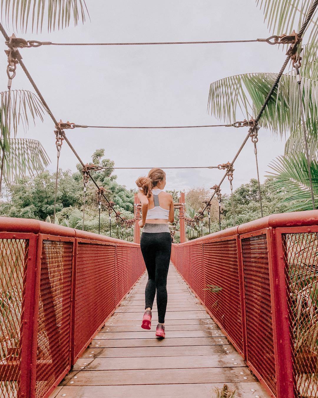 惬意悠閑“木板路”合集!新加坡11大自然景區⭐️ 林間漫步攻略+絕美海濱棧道