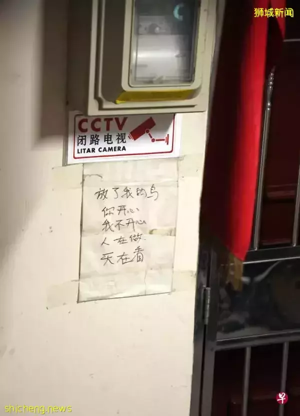 养10鸟被投诉 屋主反呛: “放了我的鸟,你开心我不开心”