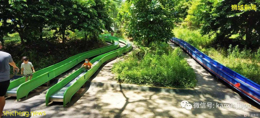 遛娃圣地海军部公园,超多大滑梯,大人孩子一起嗨