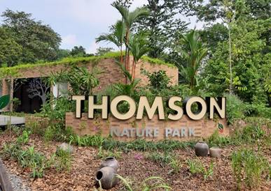 周末只会宅家躺尸？这些新加坡天然氧吧你一定得知道