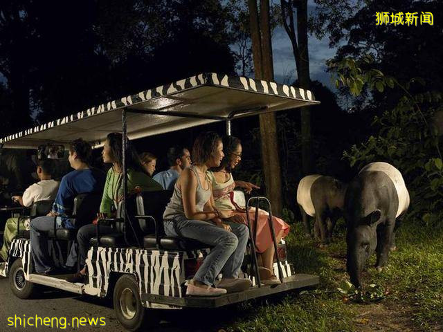 三十个新加坡冷知识，你确定都知道吗