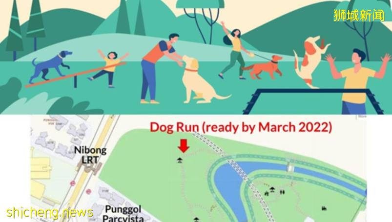 新加坡榜鵝水道公園設“遛狗場”，張志賢逗趣留言引網民效仿