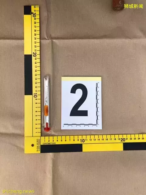 “大阵仗!我在新加坡金文泰看到6辆警车、10多名警察出动”