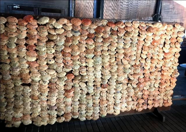 新加坡自由行(八)