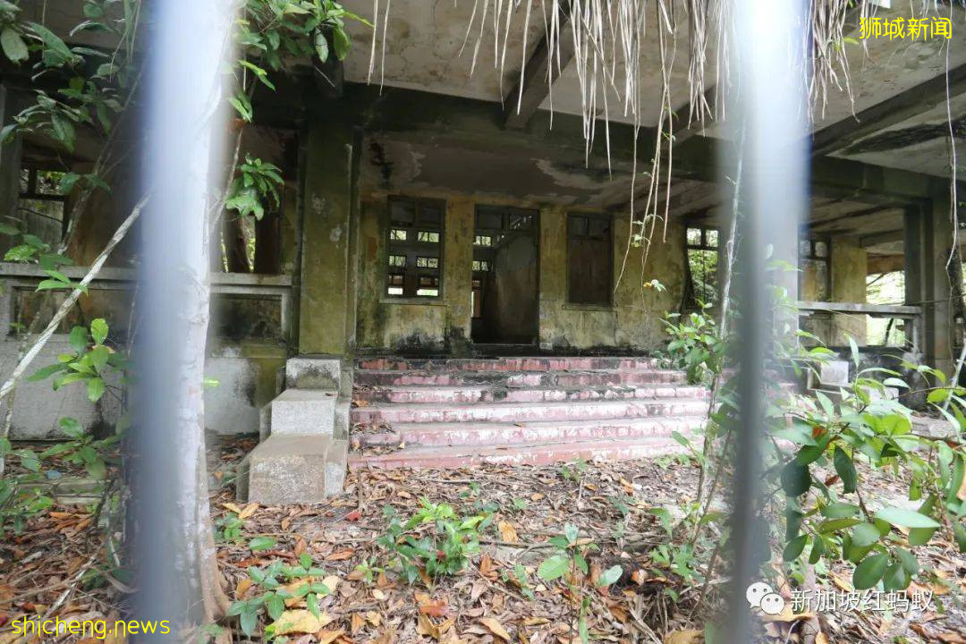 新加坡其实有两个虎豹别墅,其中一个就建在这个未开发的小岛上