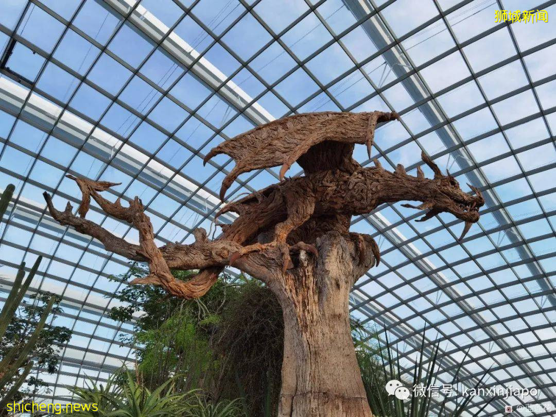 穿越魔幻国度！巨型玻璃艺术品出现在滨海湾