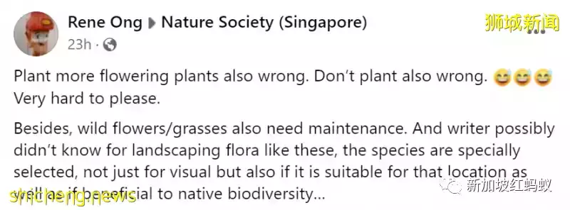 新加坡四处种满了美丽的花,如何妥善照料成了大问题