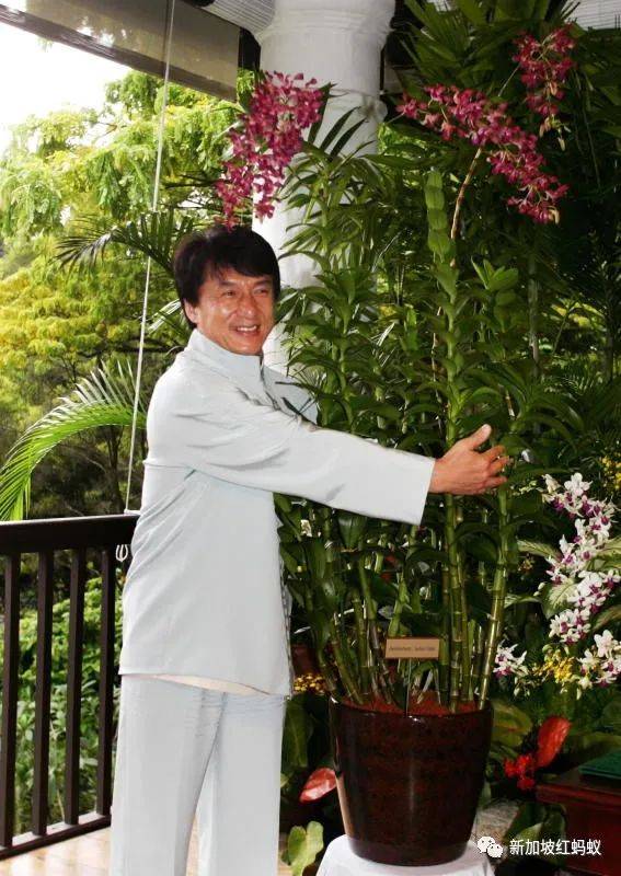 中國有桌球外交，新加坡有胡姬花外交，藏著許多鮮爲人知的有趣故事