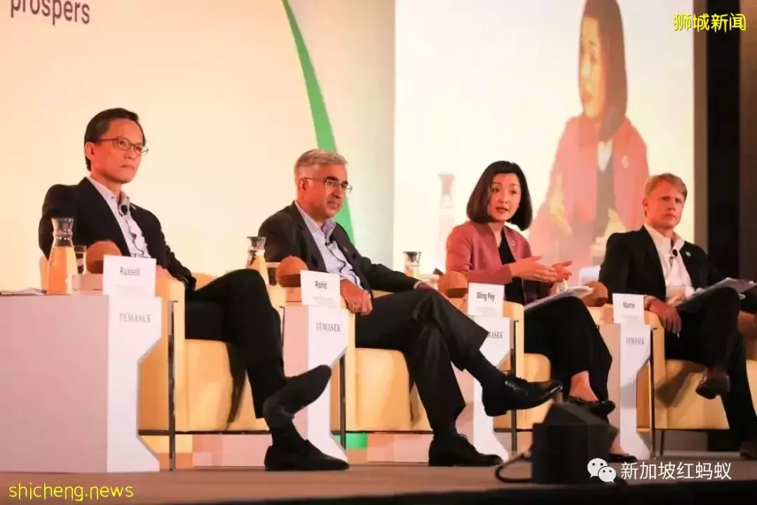 淡馬錫：中國是重要市場，未來人工智能和深度科技充滿投資機遇