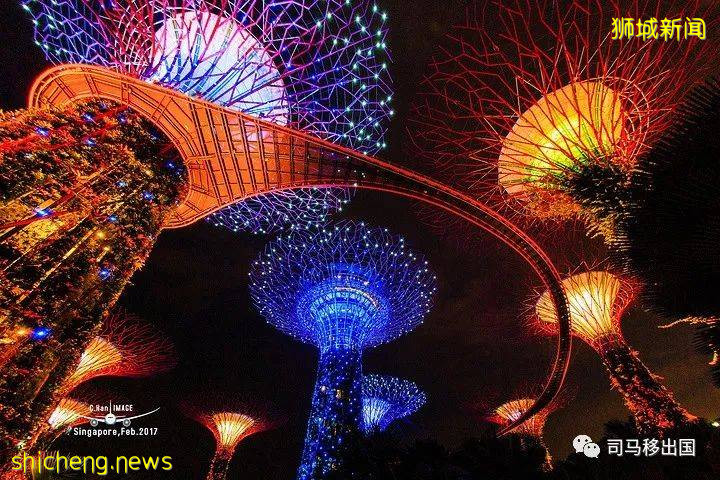 新加坡“花園中的城市”，看看這些巨樹參天的新奇景觀