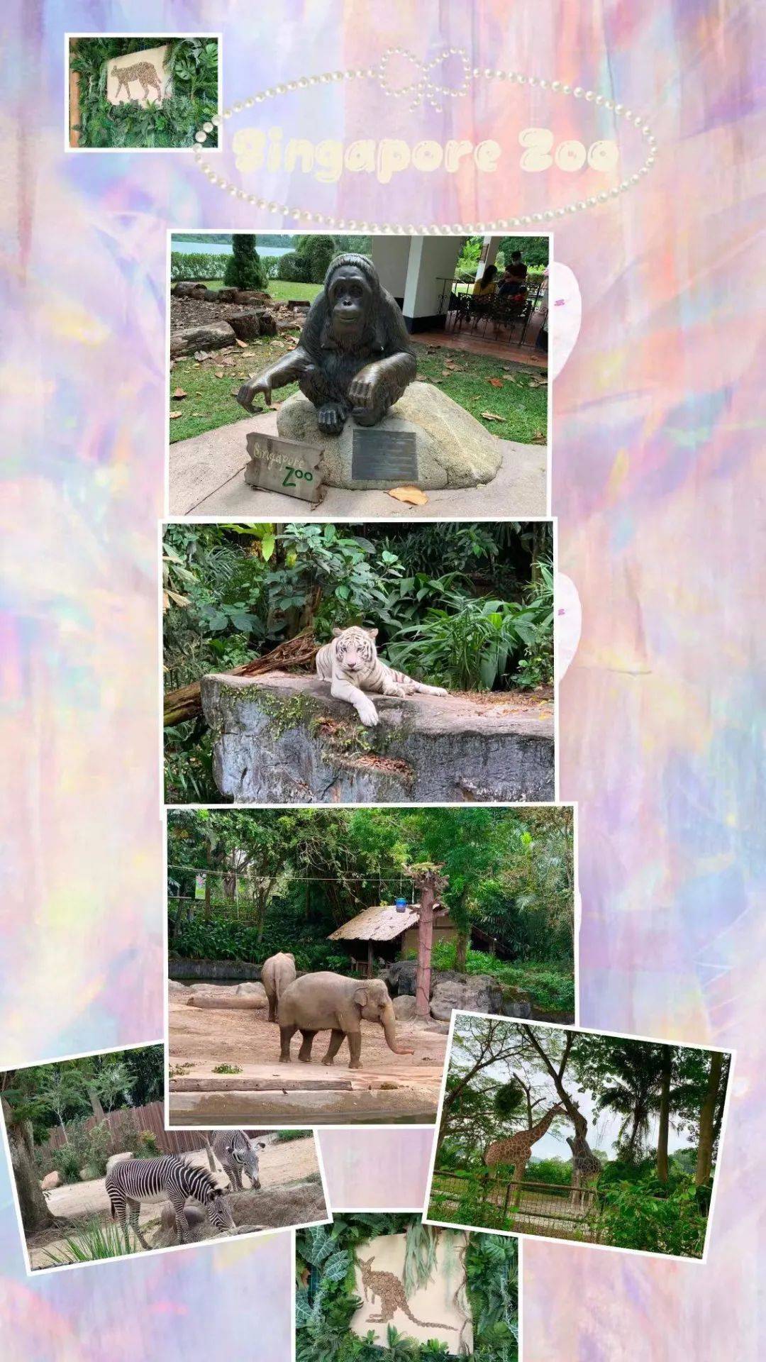 行走獅城——新加坡動物園