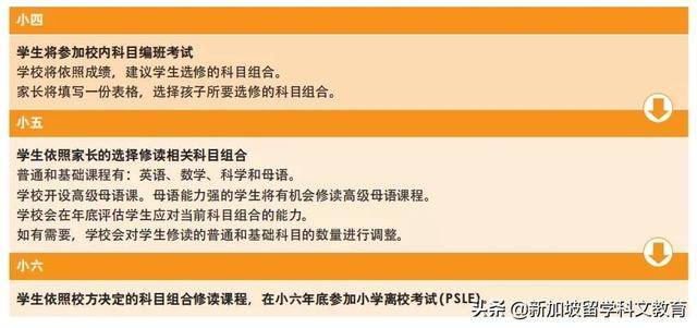來新加坡讀政府小學,這些內容一定要知道