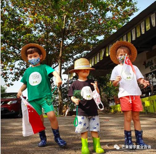 新加坡低齡留學（幼兒園3至5歲）無門檻要求