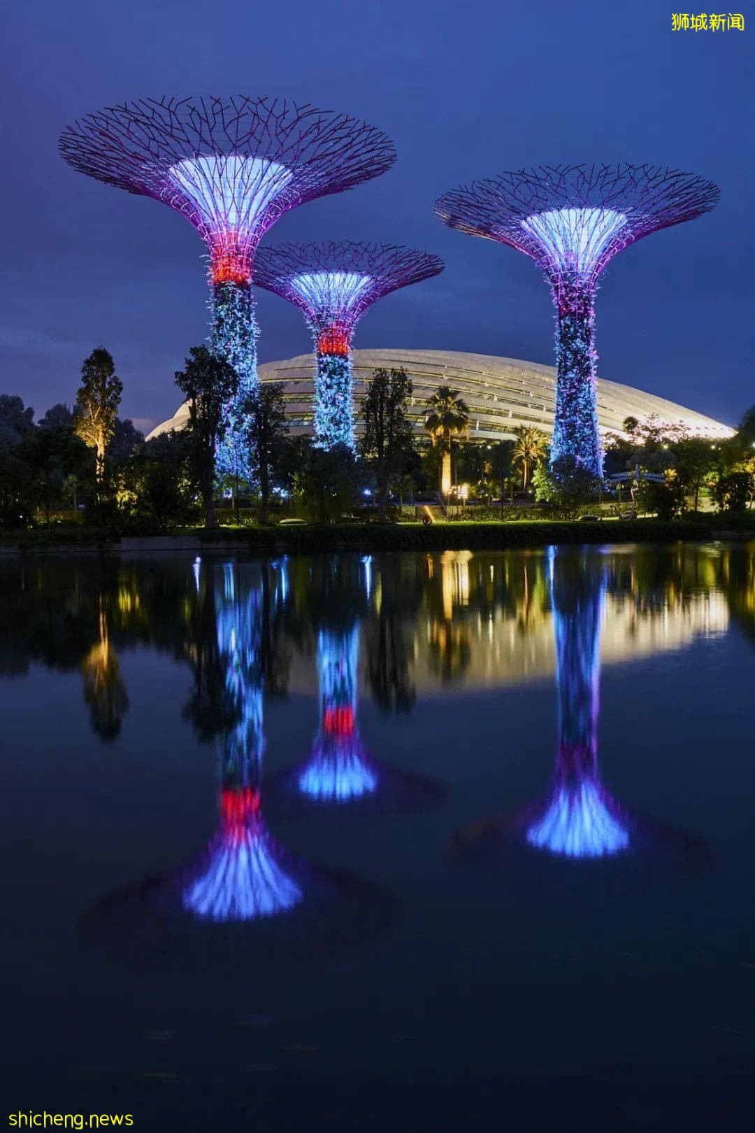 暑假结束后回新加坡要做哪些准备?需要提前多久