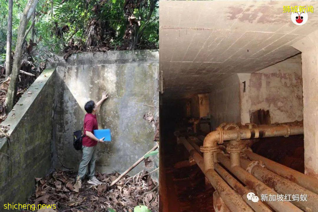 新加坡这些别有洞天的小众景点　稍不留神就会错过