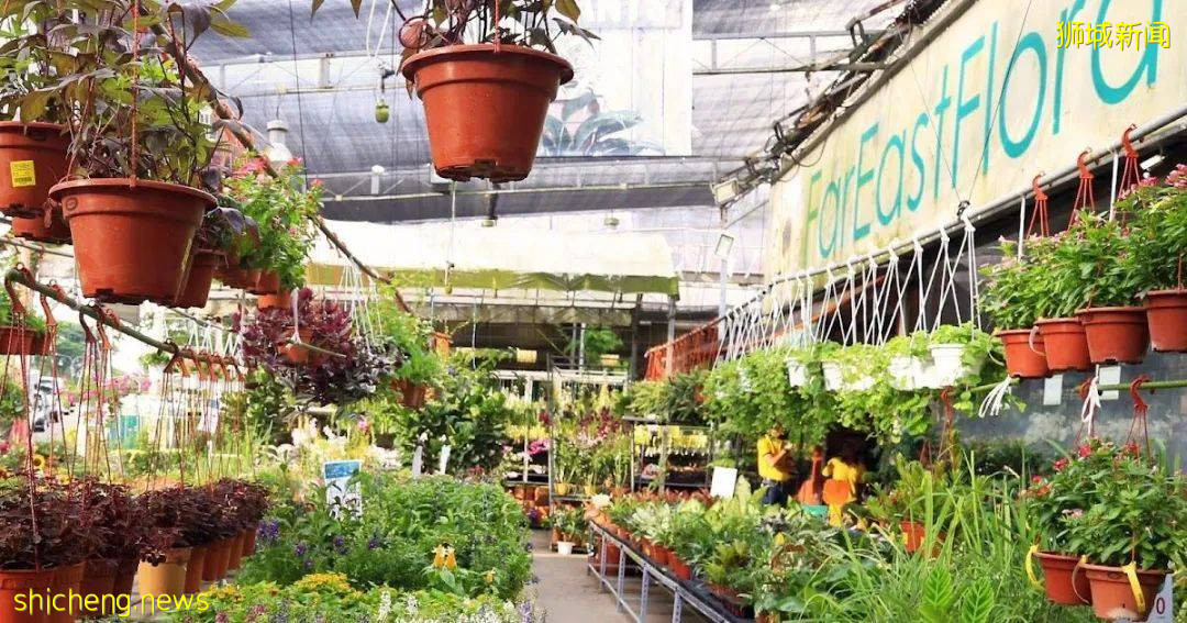 新地铁站开通!步行几分钟,10个超赞的吃喝玩乐活动